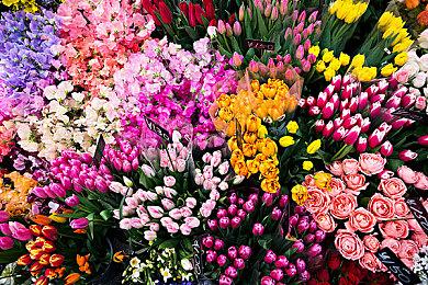 系列首部虚幻5 《魔爪能量越野车摩托赛25》4月10日发售