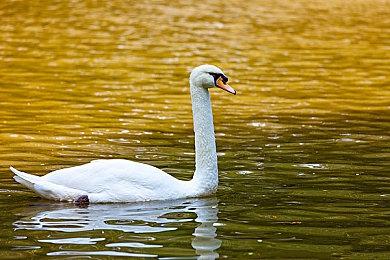 IOI新作《007》总监：《杀手》系列后开发这款游戏很自然